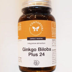 ginko-biloba-plus-24 (1)