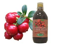 Berrysan Succo di Cranberry Bio 500ml