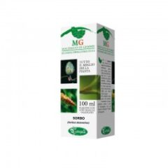 Sorbo Tintura madre 100ml